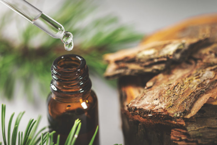 Pine Bark Tincture Dripping From Glass Pipette